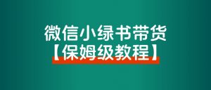 【保姆级教程】小绿书带货,万字精细化操作,变现指南。-路子网
