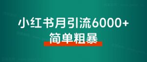 小红书月引流6000+，简单粗暴！从博主玩法迭代矩阵玩法2.0版，经验分享-路子网
