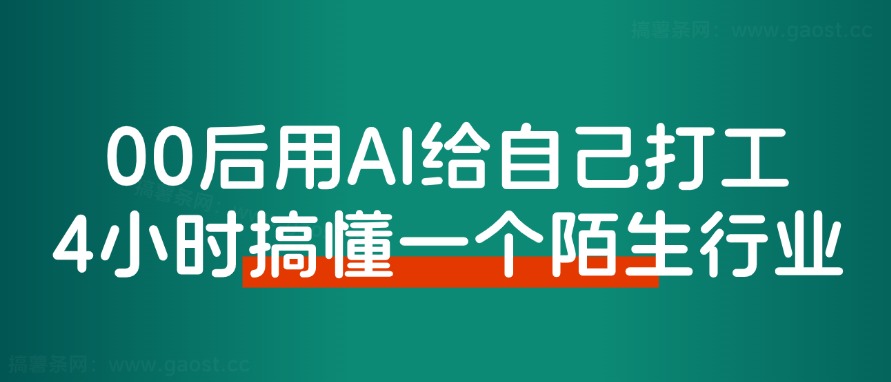 00后用AI给自己打工，仅4小时搞懂一个陌生行业如何变现！-路子网