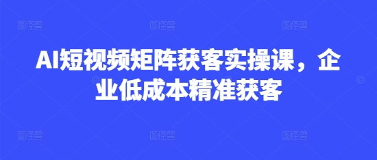 AI短视频矩阵获客实操课，企业低成本精准获客-路子网