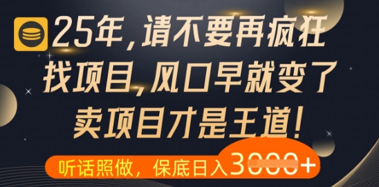 什么？25年你还在疯狂找项目做，醒醒吧，看完这些你全都懂了【揭秘】-路子网