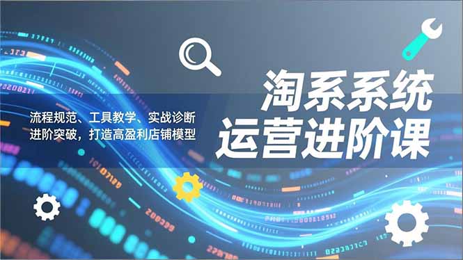 淘系系统运营进阶课2.0，流程规范、工具教学、实战诊断，进阶突破，打造高盈利店铺模型-路子网