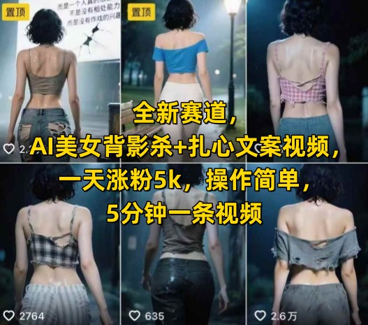 全新赛道，AI美女背影杀+扎心文案视频，一天涨粉5k，操作简单，5分钟一条视频-路子网