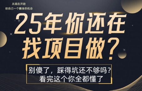25年，你还在疯狂的找项目吗？别傻了，看完这个你都懂了【揭秘】-路子网