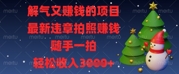解气又挣钱的项目，最新违章拍照挣钱，随手一拍，轻松收入数张【揭秘】-路子网