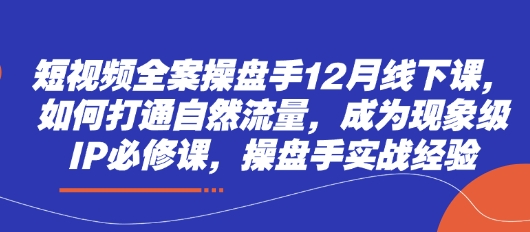 短视频全案操盘手12月线下课，如何打通自然流量，成为现象级IP必修课，操盘手实战经验-路子网