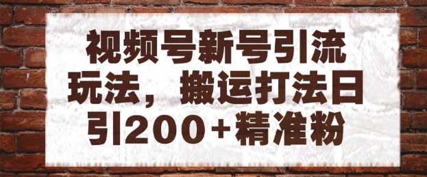 视频号新号引流玩法，搬运打法日引200+精准粉，可矩阵放大【揭秘】-路子网