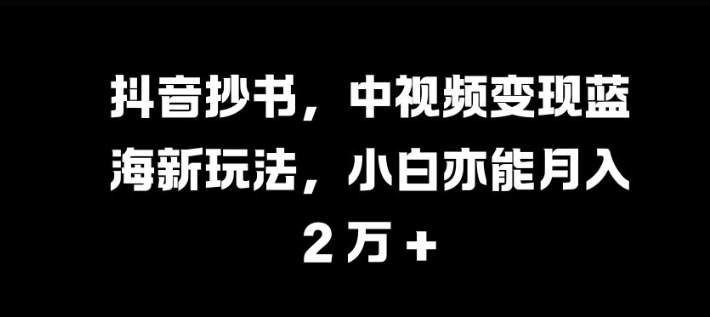 抖音抄书，中视频变现蓝海新玩法，小白亦能月入 过W【揭秘】-路子网