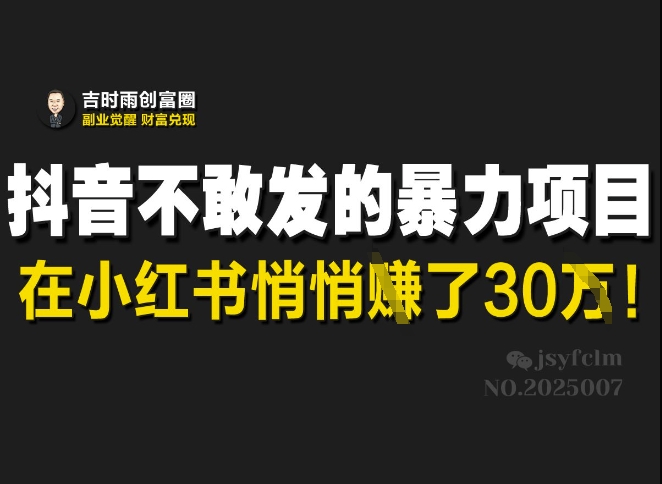 抖音不敢发的暴利项目，在小红书悄悄挣了30W-路子网