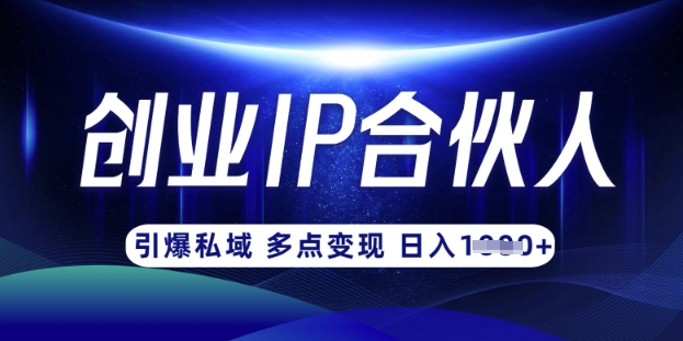 云帆·创业ip合伙人打造3.0，从0到1教你做网创，实现月入过W-路子网