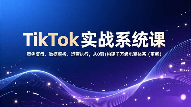 TikTok实战系统课，案例复盘、数据解析、运营执行，从0到1构建千万级电商体系(更新-路子网