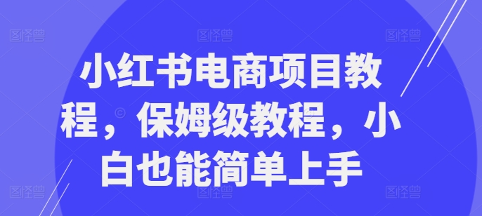 小红书电商项目教程，保姆级教程，小白也能简单上手-路子网