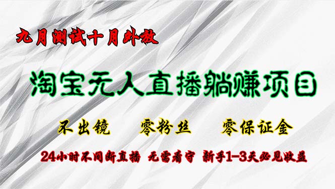 淘宝无人直播最新玩法，九月测试十月外放，不出镜零粉丝零保证金，24小…-路子网