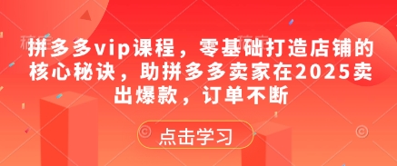 拼多多vip课程，零基础打造店铺的核心秘诀，助拼多多卖家在2025卖出爆款，订单不断-路子网