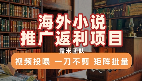 海外小说推广返利项目，视频投喂， 一刀不剪，矩阵批量-路子网