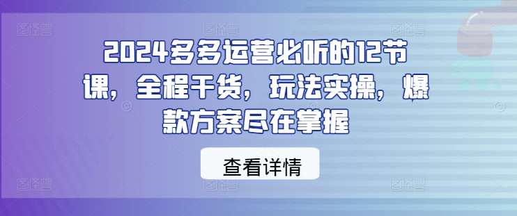 2024多多运营必听的12节课，全程干货，玩法实操，爆款方案尽在掌握-路子网