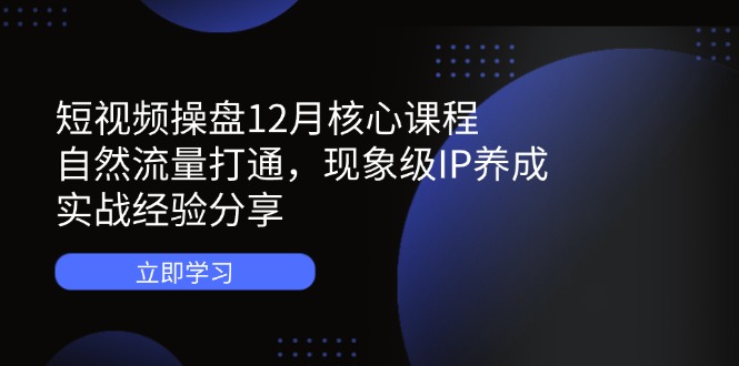 短视频操盘12月核心课程：自然流量打通，现象级IP养成，实战经验分享-路子网