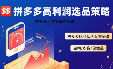 拼多多选品暴利技术实战课，拼多多高利润选品策略，拼多多限时低价标签秘诀-路子网