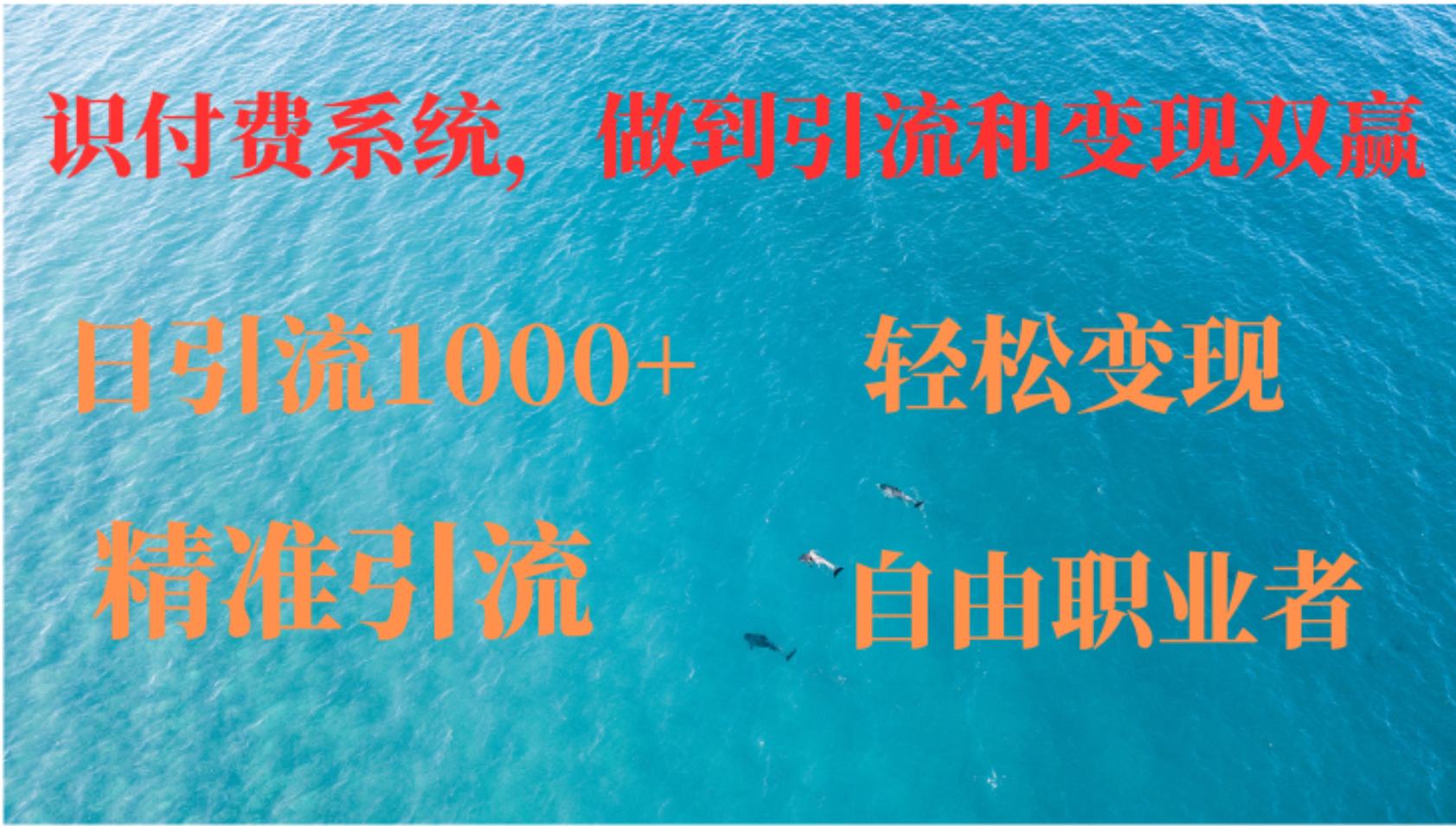 如何搭建自己的知识付费系统，做到引流和变现双赢-路子网