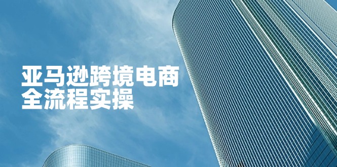 亚马逊跨境电商全流程实操，教你从零开始，掌握店铺运营与广告技巧-路子网