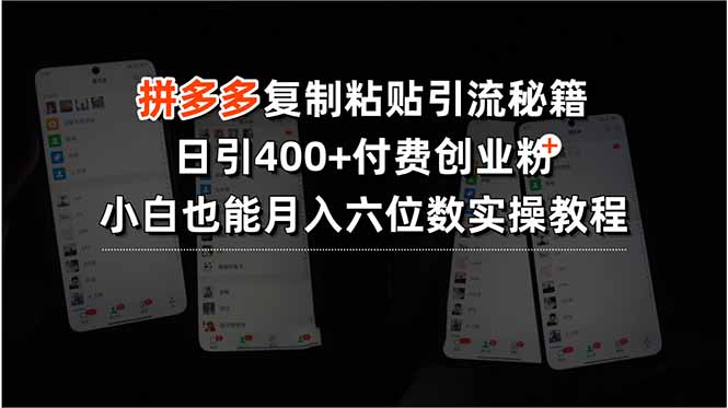 拼多多复制粘贴引流秘籍，日引400+付费创业粉，小白也能月入六位数实操…-路子网