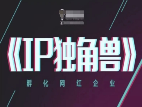 IP独角兽，孵化网红企业，ip教程-路子网