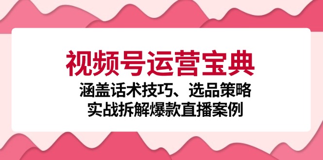 视频号运营宝典：涵盖话术技巧、选品策略、实战拆解爆款直播案例-路子网