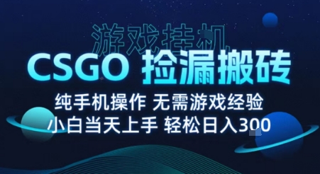 8月最新游戏搬砖，CSGO纯挂G，不需要玩游戏，实现真挂G，月入1W+【揭秘】-路子网