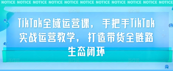 TikTok全域运营课，手把手TikTok实战运营教学，打造带货全链路生态闭环-路子网