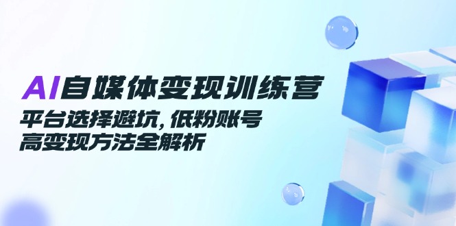 AI自媒体变现训练营，平台选择避坑，低粉账号高变现方法全解析-路子网
