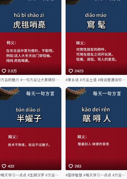 抖音最新涨粉玩法，图文方言暴力涨粉实操，126作品涨粉11W-路子网