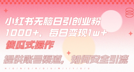 小红书无脑每日引流创业粉500+，小白每天只花半小时，躺赚长尾收益【揭秘】-路子网
