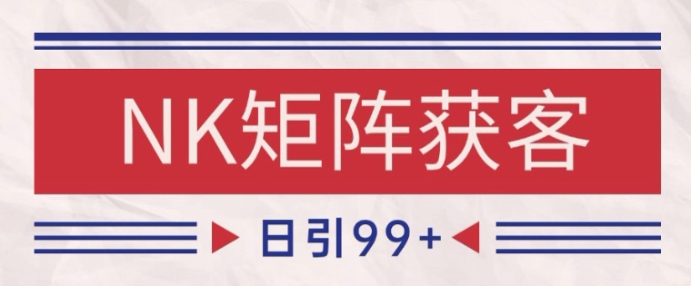 小红书某音NK赛道引流获客 自热矩阵日引200+【揭秘】-路子网
