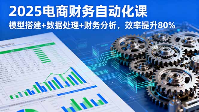 2025电商财务自动化课，模型搭建+数据处理+财务分析，效率提升80%-路子网