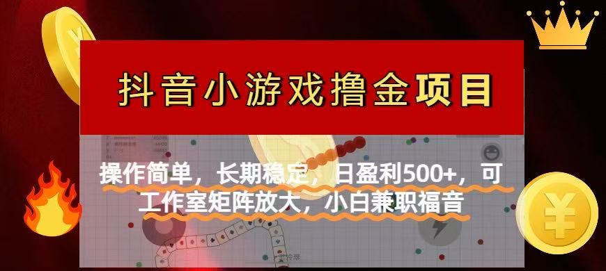 【抖音小游戏发行人计划项目】操作简单，长期稳定，日盈利500+，可工作…-路子网