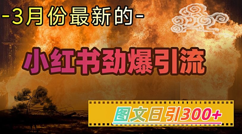 小红书超劲爆引流手段，图文日引300+轻松变现1W-路子网