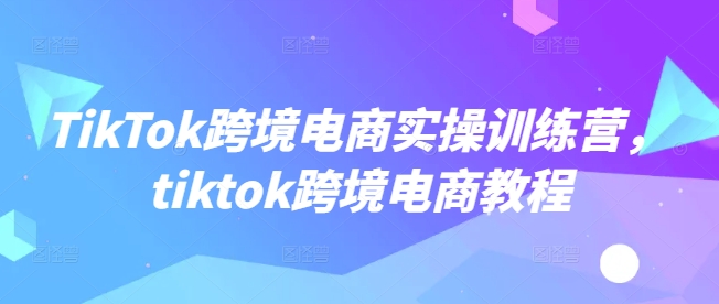 TikTok跨境电商实操训练营，tiktok跨境电商教程-路子网