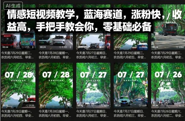 情感短视频教学，蓝海赛道，涨粉快，收益高，手把手教会你，零基础必备-路子网