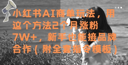 小红书AI商单玩法，用这个方法2个月涨粉7W+，新手也能接品牌合作(附全套指令模板)-路子网