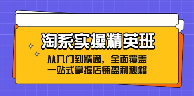 淘系实操精英班：从入门到精通，全面覆盖，一站式掌握店铺盈利秘籍-路子网