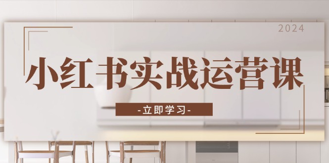 小红书实战运营课：从开通店铺到直播话术，打造爆款笔记与高效直播-路子网
