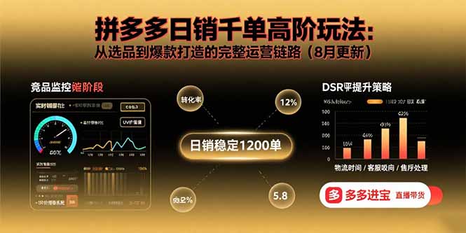 拼多多日销千单高阶玩法：从选品到爆款打造的完整运营链路(8月更新-路子网