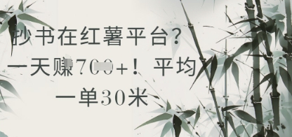 抄书在小红薯平台？平均一单30米，一天收益几张！-路子网