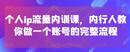 个人ip流量内训课，内行人教你做一个账号的完整流程-路子网
