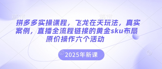 拼多多实操课程，飞龙在天玩法，真实案例，直播全流程链接的黄金sku布局原价操作六个活动-路子网