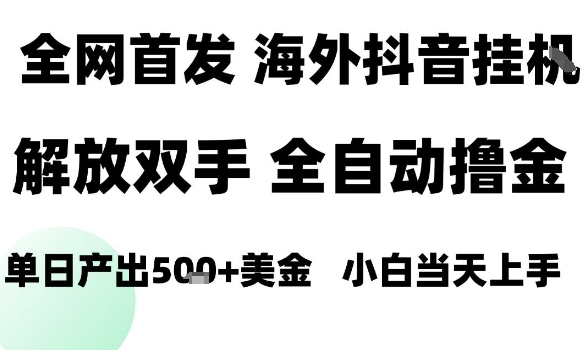 海外抖音无人直播，单日产出1.5k+，长期稳定，新手可玩，无脑操作【揭秘】-路子网