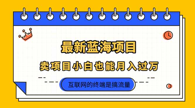 2025年最新蓝海项目，卖项目小白也能月入过万-路子网