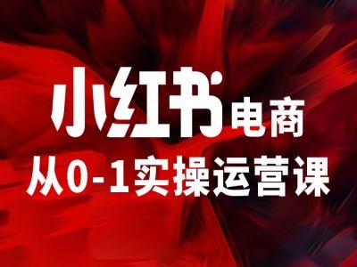 小红书电商从0-1实操运营课，让你从小白到精英-路子网