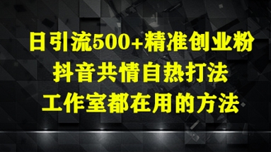 日引流500+精准创业粉，抖音共情自热打法，工作室都在用的方法-路子网