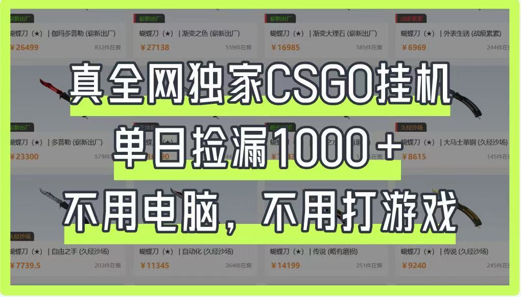真全网独家CSGO挂机，单日捡漏1000+，不用电脑，不用养号-路子网